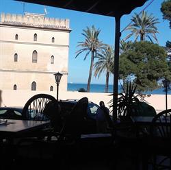 Bar-Café Olé, Dénia