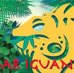 BAR Iguana, Sant Boi de Llobregat