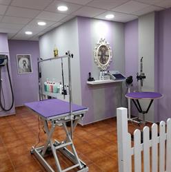 Perruqueria canina jessica tostado, Canovelles