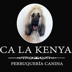 Perruqueria Canina Ca la Kenya, Terrassa