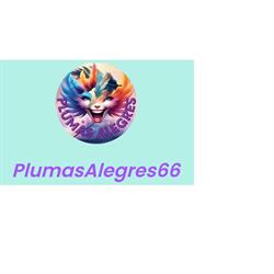 Plumas Alegres 66, Sant Cugat del Vallès