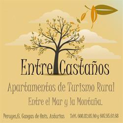 Casas Rurales Entrecastaños, Cangas de Onís