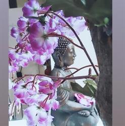 Namasté BeautySpa, Vega de Espinareda