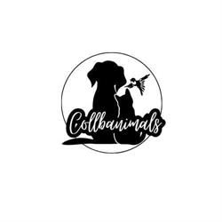 Collbanimals peluquería canina, Collbató