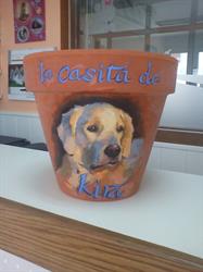 La Casita De KIRA, Tapia de Casariego