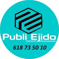Publiejido, El Ejido