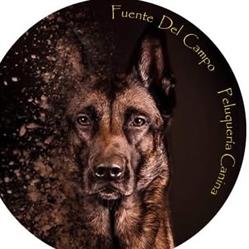 Fuente del Campo - Peluquería Canina, Moratalla