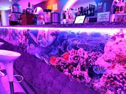 Tropical Drink & Music, Granada
