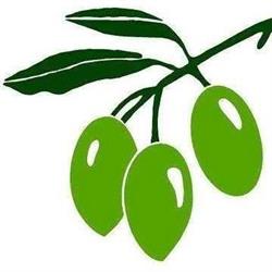 Agrícola Molina, Rute