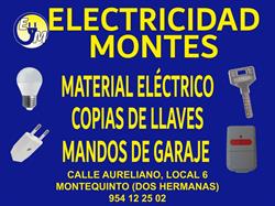 Electricidad Montes, Dos Hermanas