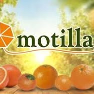 Juan Motilla S.L, Carcaixent