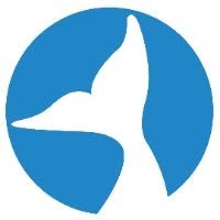 Orca Business Software, Alboraya