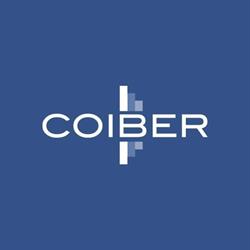 CONSTRUCCIONES Y PROYECTOS COIBER, Aielo de Malferit