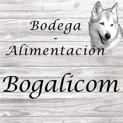 BOGALICOM, Madrid