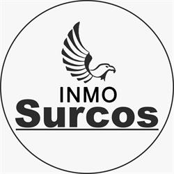 Inmo Surcos, Elche