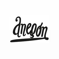 Librería Anegón, Vitoria-Gasteiz