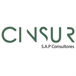 Cinsur Consultores, Murcia