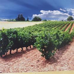 Casa Rural "Ribera del Duero", Quemada