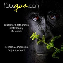 Foto Qué. Laboratorio de fotografía en Madrid. Impresión de fotografías.