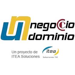 Un Negocio Un Dominio, Gijón
