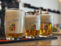PILSNER BAR MARBELLA, Marbella