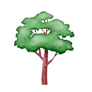 Recordarium, el Bosque del Recuerdo, Méntrida