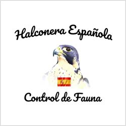 Halconera Española - Control De Fauna, Villanueva de Perales