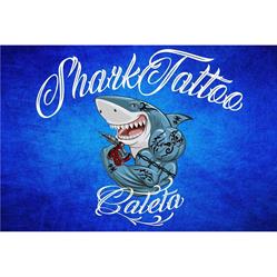 Shark Tattoo Caleta, El Castillo
