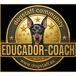 Dogstaff, Santa Cruz de Tenerife