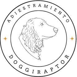 Doggiraptor Adiestramiento Canino, Sanlúcar de Barrameda