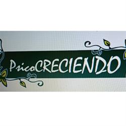 Psicocreciendo, Elche