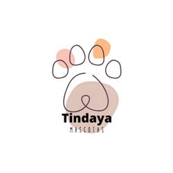 Mascotas Tindaya, Gáldar