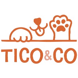 Ticoandco, Madrid