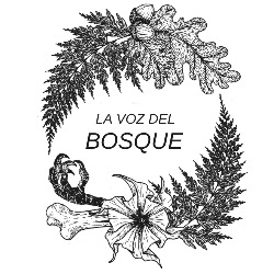 La voz del bosque, Figaró