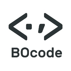 BOcode, Vigo