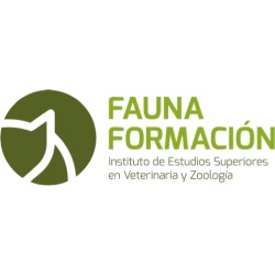 Fauna Formación, Girona
