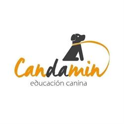 Candamin, Cambre