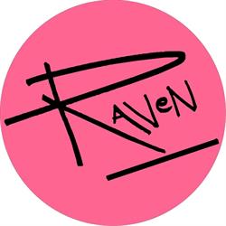 Raven Art Studio Marbella by Julian Raven