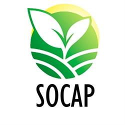 Socap Integral SL, La Venta del Viso