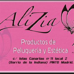 Peluquería y Estética Alizia, Pinto
