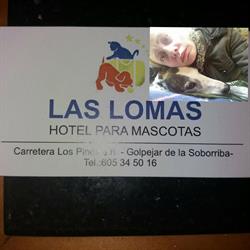 Hotel Canino Las Lomas, Golpejar de la Sobarriba