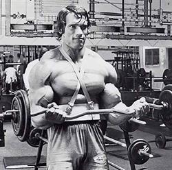 Musclecenter, Yunquera