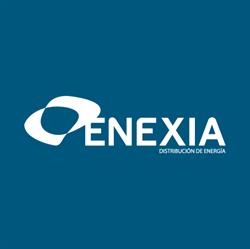 Enexia Zaragoza, Cadrete