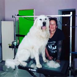 DogSpa Stefanie Funken, Cas Concos des Cavaller