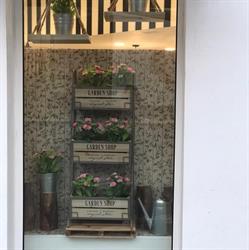 Farmacia La Atalaya De Guía, Julia Marrero Hoeybye, Becerril de Guía