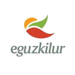 Eguzkilur belar denda, Elorrio