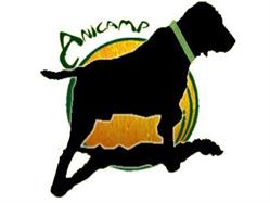Anicamp, Las Pedroñeras