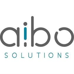 Aibo Solutions, Las Chafiras