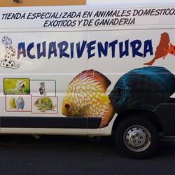 Acuariventura, Morro Jable