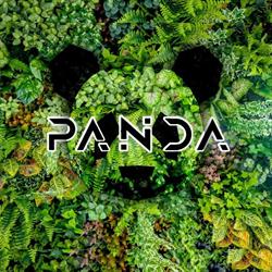 Discoteca Panda Requena